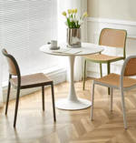 Plastic Dining Chair