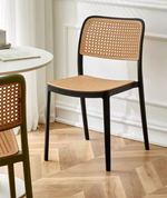 Plastic Dining Chair